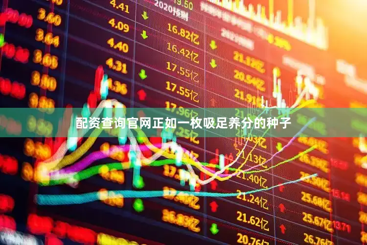 配资查询官网正如一枚吸足养分的种子