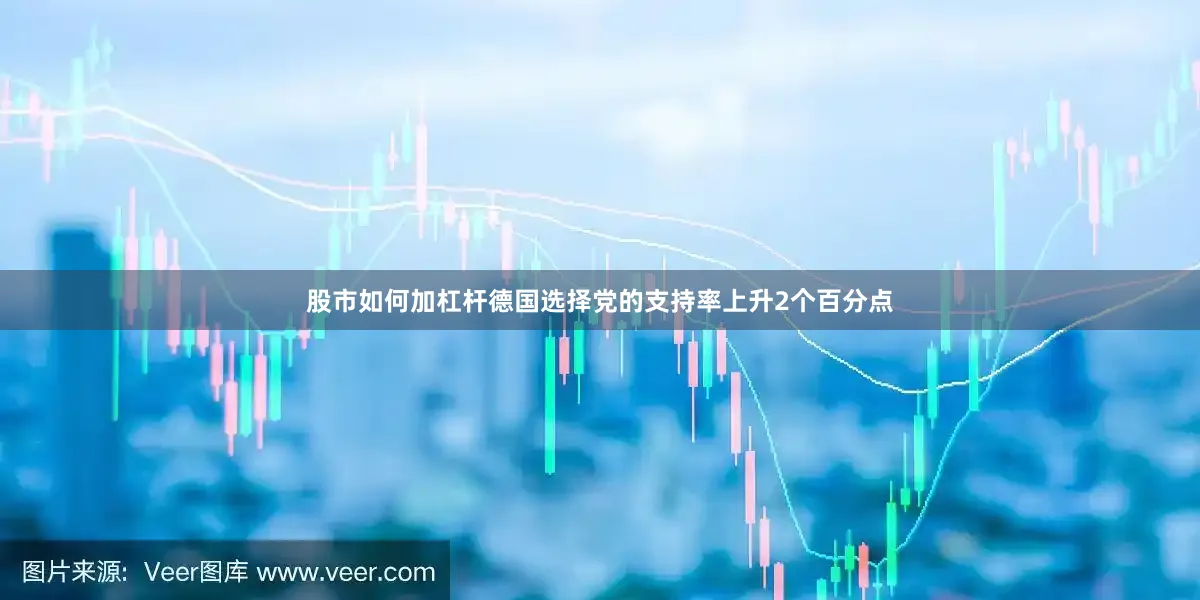 股市如何加杠杆德国选择党的支持率上升2个百分点